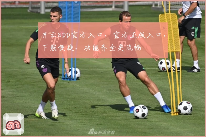 开云app官方入口，官方正版入口，下载便捷，功能齐全更流畅