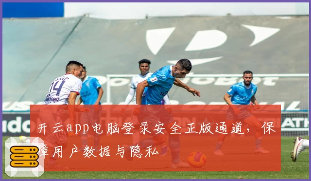开云app电脑登录安全正版通道，保障用户数据与隐私